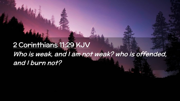 Picture 02 - 2 Corinthians 11:29 KJV Desktop Wallpaper - Who is weak, and I am not weak? who is offended, - Desktop Bible Verse Wallpaper