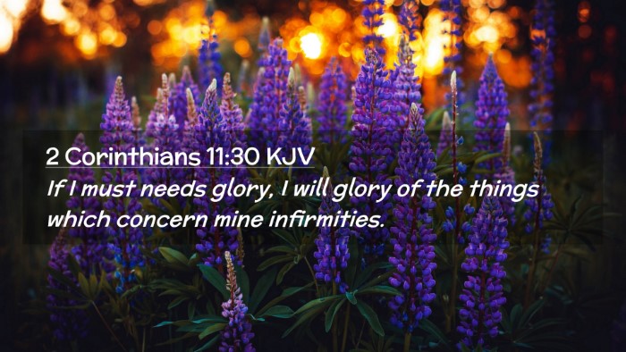 Picture 02 - 2 Corinthians 11:30 KJV Desktop Wallpaper - If I must needs glory, I will glory of the things - Desktop Bible Verse Wallpaper