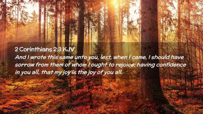 Picture 02 - 2 Corinthians 2:3 KJV Desktop Wallpaper - And I wrote this same unto you, lest, when I - Desktop Bible Verse Wallpaper