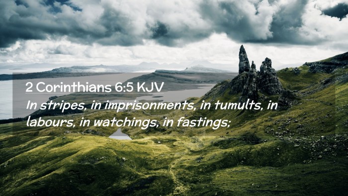 Picture 02 - 2 Corinthians 6:5 KJV Desktop Wallpaper - In stripes, in imprisonments, in tumults, in - Desktop Bible Verse Wallpaper