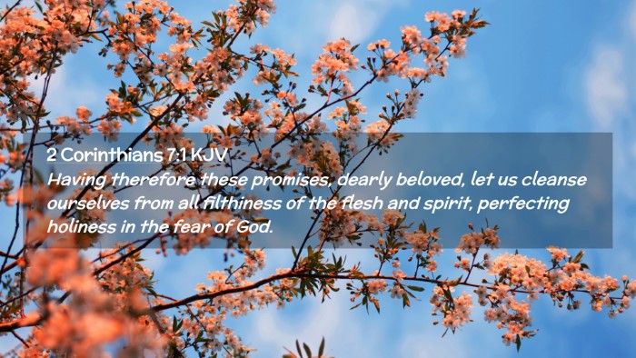 Picture 02 - 2 Corinthians 7:1 KJV Desktop Wallpaper - Having therefore these promises, dearly beloved, - Desktop Bible Verse Wallpaper