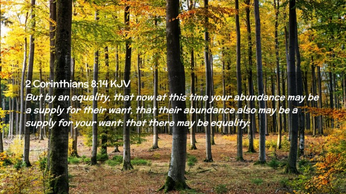 Picture 02 - 2 Corinthians 8:14 KJV Desktop Wallpaper - But by an equality, that now at this time your - Desktop Bible Verse Wallpaper