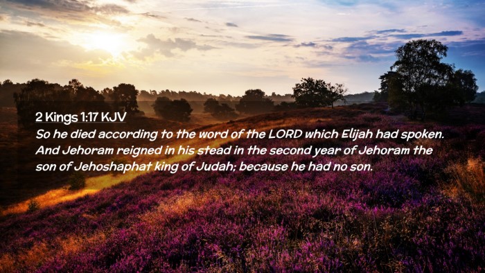 Picture 02 - 2 Kings 1:17 KJV Desktop Wallpaper - So he died according to the word of the LORD - Desktop Bible Verse Wallpaper