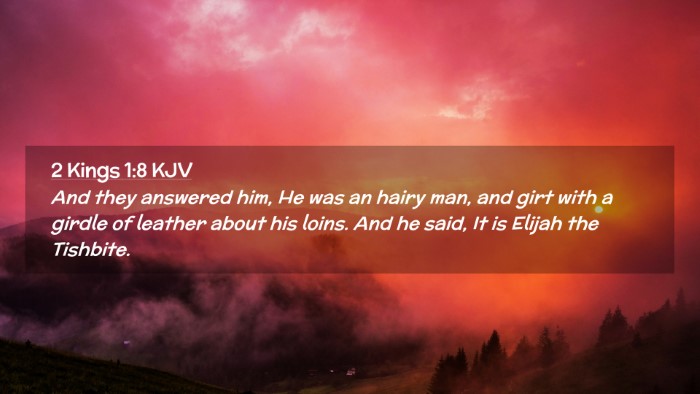 Picture 02 - 2 Kings 1:8 KJV Desktop Wallpaper - And they answered him, He was an hairy man, and - Desktop Bible Verse Wallpaper