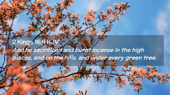 Picture 02 - 2 Kings 16:4 KJV Desktop Wallpaper - And he sacrificed and burnt incense in the high - Desktop Bible Verse Wallpaper