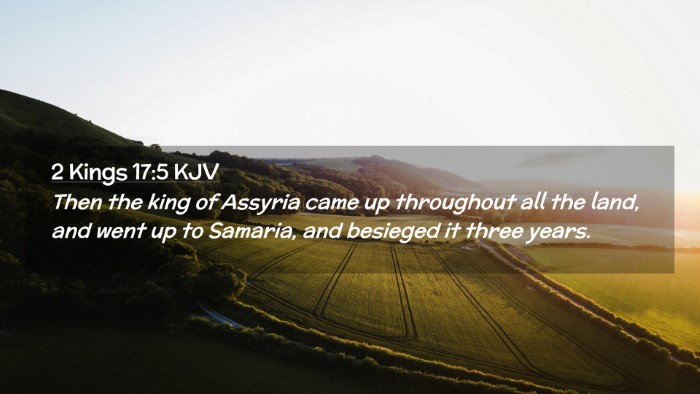 Picture 02 - 2 Kings 17:5 KJV Desktop Wallpaper - Then the king of Assyria came up throughout all - Desktop Bible Verse Wallpaper