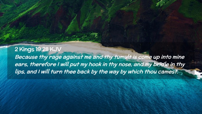 Picture 02 - 2 Kings 19:28 KJV Desktop Wallpaper - Because thy rage against me and thy tumult is - Desktop Bible Verse Wallpaper