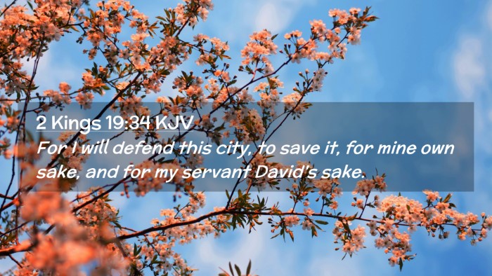 Picture 02 - 2 Kings 19:34 KJV Desktop Wallpaper - For I will defend this city, to save it, for mine - Desktop Bible Verse Wallpaper