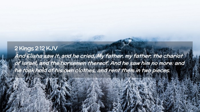 Picture 02 - 2 Kings 2:12 KJV Desktop Wallpaper - And Elisha saw it, and he cried, My father, my - Desktop Bible Verse Wallpaper