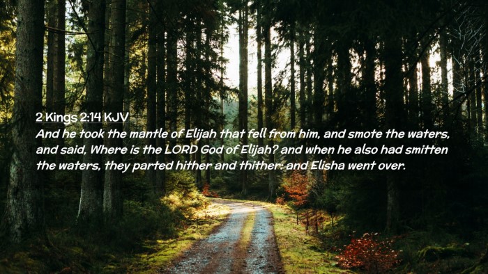 Picture 02 - 2 Kings 2:14 KJV Desktop Wallpaper - And he took the mantle of Elijah that fell from - Desktop Bible Verse Wallpaper