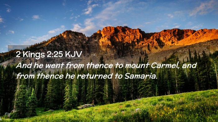 Picture 02 - 2 Kings 2:25 KJV Desktop Wallpaper - And he went from thence to mount Carmel, and from - Desktop Bible Verse Wallpaper