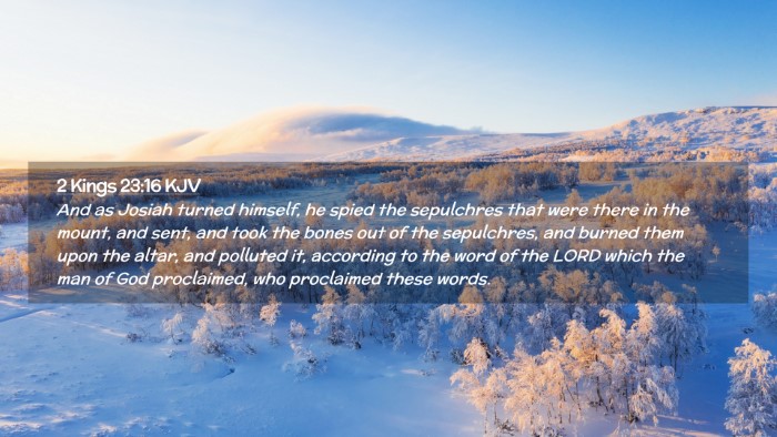 Picture 02 - 2 Kings 23:16 KJV Desktop Wallpaper - And as Josiah turned himself, he spied the - Desktop Bible Verse Wallpaper