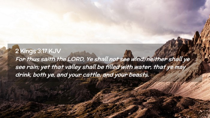 Picture 02 - 2 Kings 3:17 KJV Desktop Wallpaper - For thus saith the LORD, Ye shall not see wind, - Desktop Bible Verse Wallpaper