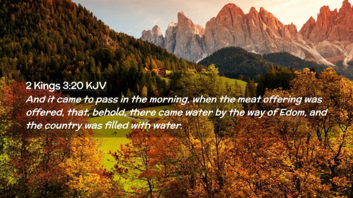 Picture 02 - 2 Kings 3:20 KJV Desktop Wallpaper - And it came to pass in the morning, when the meat - Desktop Bible Verse Wallpaper