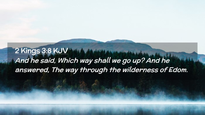 Picture 02 - 2 Kings 3:8 KJV Desktop Wallpaper - And he said, Which way shall we go up? And he - Desktop Bible Verse Wallpaper