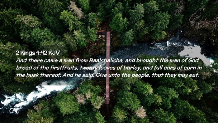 Picture 02 - 2 Kings 4:42 KJV Desktop Wallpaper - And there came a man from Baalshalisha, and - Desktop Bible Verse Wallpaper
