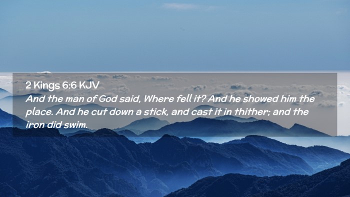Picture 02 - 2 Kings 6:6 KJV Desktop Wallpaper - And the man of God said, Where fell it? And he - Desktop Bible Verse Wallpaper