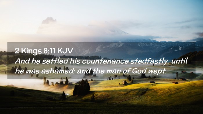 Picture 02 - 2 Kings 8:11 KJV Desktop Wallpaper - And he settled his countenance stedfastly, until - Desktop Bible Verse Wallpaper