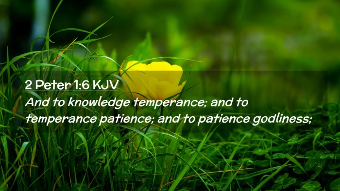 Picture 02 - 2 Peter 1:6 KJV Desktop Wallpaper - And to knowledge temperance; and to temperance - Desktop Bible Verse Wallpaper