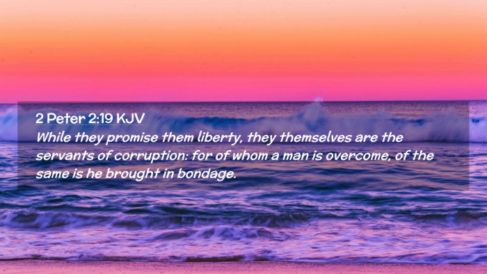 Picture 02 - 2 Peter 2:19 KJV Desktop Wallpaper - While they promise them liberty, they themselves - Desktop Bible Verse Wallpaper