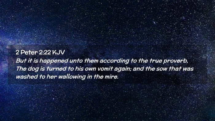Picture 02 - 2 Peter 2:22 KJV Desktop Wallpaper - But it is happened unto them according to the - Desktop Bible Verse Wallpaper