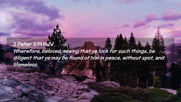 Picture 02 - 2 Peter 3:14 KJV Desktop Wallpaper - Wherefore, beloved, seeing that ye look for such - Desktop Bible Verse Wallpaper