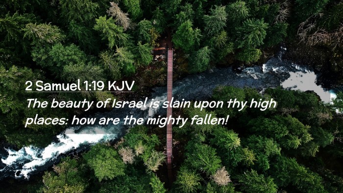 Picture 02 - 2 Samuel 1:19 KJV Desktop Wallpaper - The beauty of Israel is slain upon thy high - Desktop Bible Verse Wallpaper