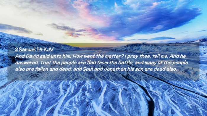 Picture 02 - 2 Samuel 1:4 KJV Desktop Wallpaper - And David said unto him, How went the matter? I - Desktop Bible Verse Wallpaper