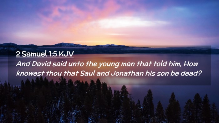 Picture 02 - 2 Samuel 1:5 KJV Desktop Wallpaper - And David said unto the young man that told him, - Desktop Bible Verse Wallpaper
