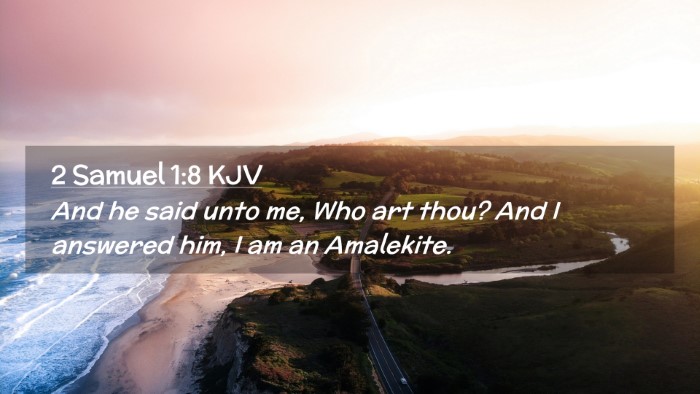 Picture 02 - 2 Samuel 1:8 KJV Desktop Wallpaper - And he said unto me, Who art thou? And I answered - Desktop Bible Verse Wallpaper