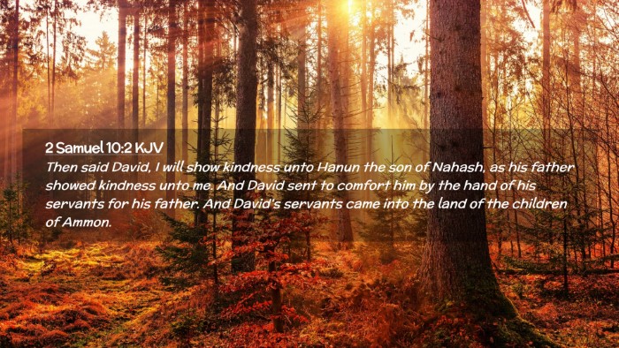 Picture 02 - 2 Samuel 10:2 KJV Desktop Wallpaper - Then said David, I will show kindness unto Hanun - Desktop Bible Verse Wallpaper