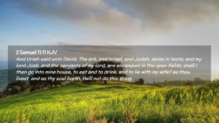 Picture 02 - 2 Samuel 11:11 KJV Desktop Wallpaper - And Uriah said unto David, The ark, and Israel, - Desktop Bible Verse Wallpaper