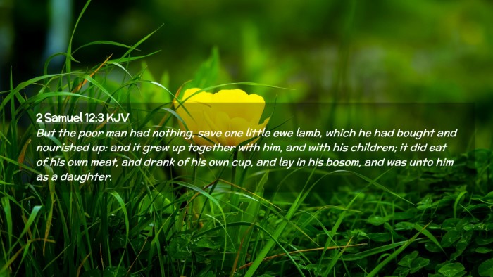 Picture 02 - 2 Samuel 12:3 KJV Desktop Wallpaper - But the poor man had nothing, save one little ewe - Desktop Bible Verse Wallpaper