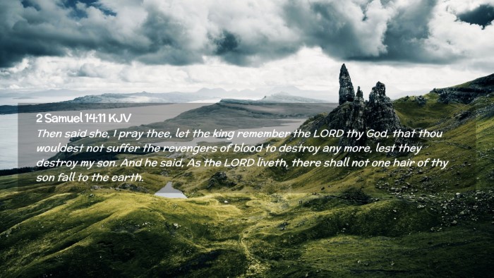 Picture 02 - 2 Samuel 14:11 KJV Desktop Wallpaper - Then said she, I pray thee, let the king remember - Desktop Bible Verse Wallpaper