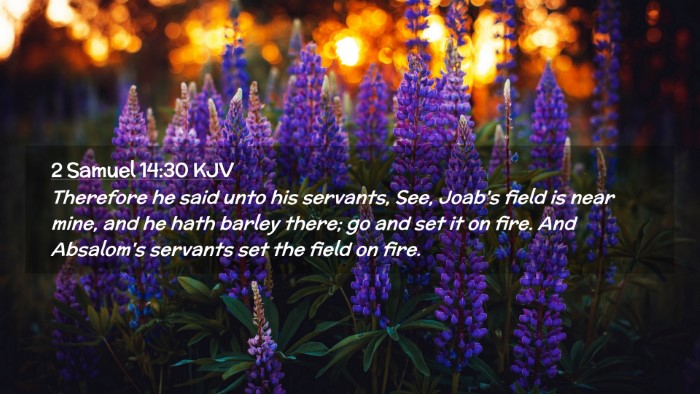 Picture 02 - 2 Samuel 14:30 KJV Desktop Wallpaper - Therefore he said unto his servants, See, Joab's - Desktop Bible Verse Wallpaper