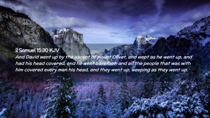 Picture 02 - 2 Samuel 15:30 KJV Desktop Wallpaper - And David went up by the ascent of mount Olivet, - Desktop Bible Verse Wallpaper