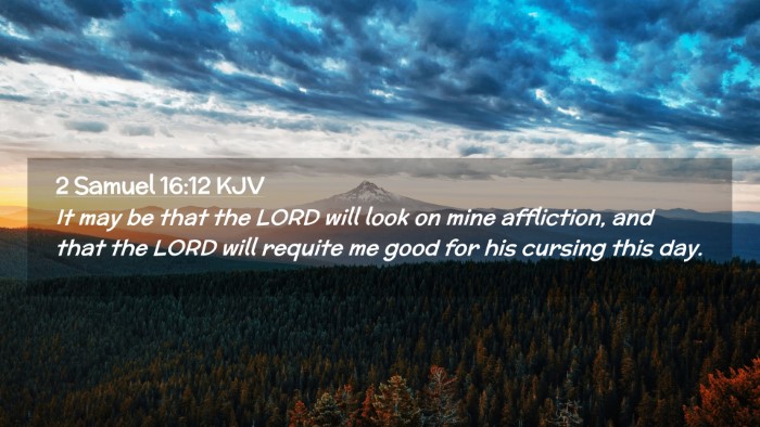 Picture 02 - 2 Samuel 16:12 KJV Desktop Wallpaper - It may be that the LORD will look on mine - Desktop Bible Verse Wallpaper