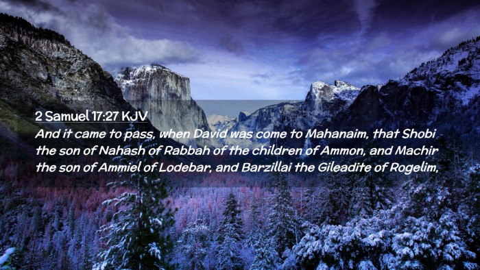 Picture 02 - 2 Samuel 17:27 KJV Desktop Wallpaper - And it came to pass, when David was come to - Desktop Bible Verse Wallpaper