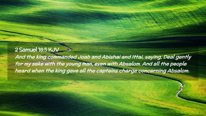 Picture 02 - 2 Samuel 18:5 KJV Desktop Wallpaper - And the king commanded Joab and Abishai and - Desktop Bible Verse Wallpaper