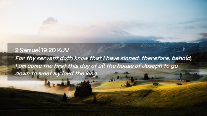 Picture 02 - 2 Samuel 19:20 KJV Desktop Wallpaper - For thy servant doth know that I have sinned: - Desktop Bible Verse Wallpaper