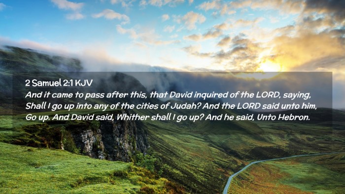 Picture 02 - 2 Samuel 2:1 KJV Desktop Wallpaper - And it came to pass after this, that David - Desktop Bible Verse Wallpaper