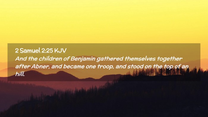 Picture 02 - 2 Samuel 2:25 KJV Desktop Wallpaper - And the children of Benjamin gathered themselves - Desktop Bible Verse Wallpaper