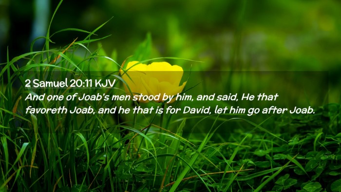 Picture 02 - 2 Samuel 20:11 KJV Desktop Wallpaper - And one of Joab's men stood by him, and said, He - Desktop Bible Verse Wallpaper