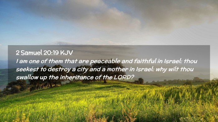 Picture 02 - 2 Samuel 20:19 KJV Desktop Wallpaper - I am one of them that are peaceable and faithful - Desktop Bible Verse Wallpaper