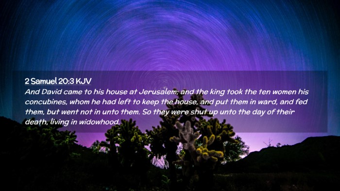Picture 02 - 2 Samuel 20:3 KJV Desktop Wallpaper - And David came to his house at Jerusalem; and the - Desktop Bible Verse Wallpaper