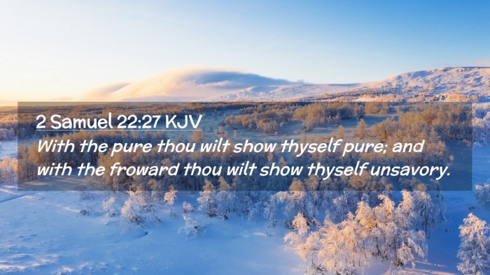 Picture 02 - 2 Samuel 22:27 KJV Desktop Wallpaper - With the pure thou wilt show thyself pure; and - Desktop Bible Verse Wallpaper