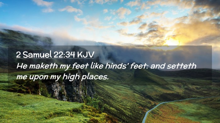 Picture 02 - 2 Samuel 22:34 KJV Desktop Wallpaper - He maketh my feet like hinds' feet: and setteth - Desktop Bible Verse Wallpaper