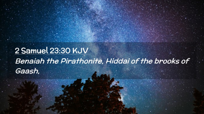 Picture 02 - 2 Samuel 23:30 KJV Desktop Wallpaper - Benaiah the Pirathonite, Hiddai of the brooks of - Desktop Bible Verse Wallpaper