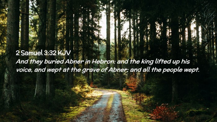Picture 02 - 2 Samuel 3:32 KJV Desktop Wallpaper - And they buried Abner in Hebron: and the king - Desktop Bible Verse Wallpaper