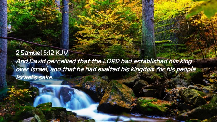 Picture 02 - 2 Samuel 5:12 KJV Desktop Wallpaper - And David perceived that the LORD had established - Desktop Bible Verse Wallpaper